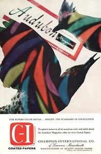 Champion Papers Imagination 70s ヴィンテージ Champion Papers Imagination 70s ヴィンテージ Champion Papers