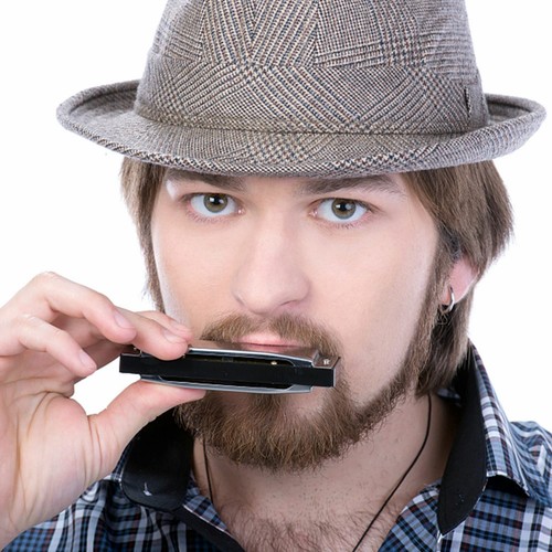 EASTTOP Diatonic blues harp harmonica Key of C 10Hole Mouth Organ Harmonica Gift - Picture 6 of 8