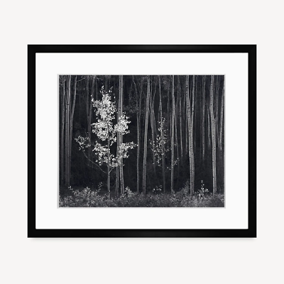 #ad #ad Aspens Northern New Mexico Ansel Adams Nature Trees Framed Print CERTIFIED $199.99