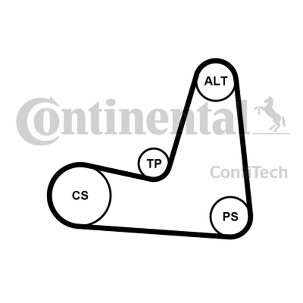 Continental Ctam Keilrippenriemensatz 5PK1135K1 FüR Thalia ScÉNic CR0 Modus Clio-image