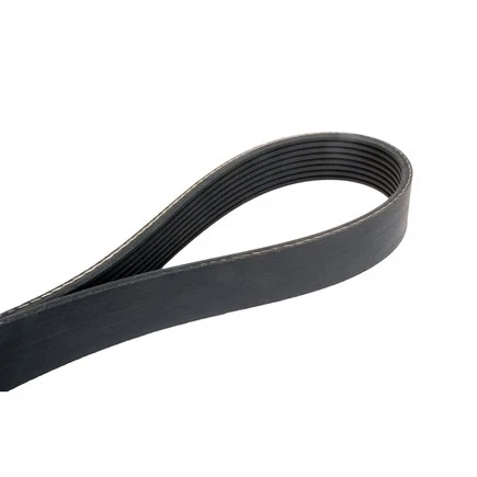 Cinturón Automotriz Multi V Continental Ag 4080560 Foto 3 de 4