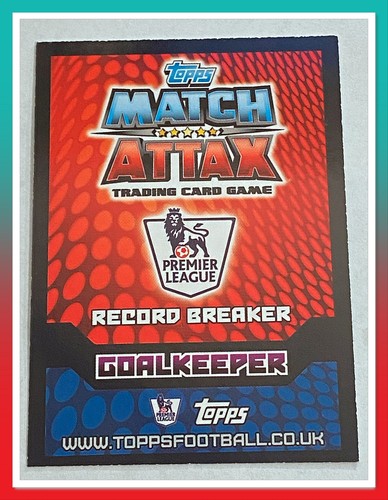 14/15 Topps Match Attax Premier League Sammelkarten - Rekordbrecher - Bild 250 von 364