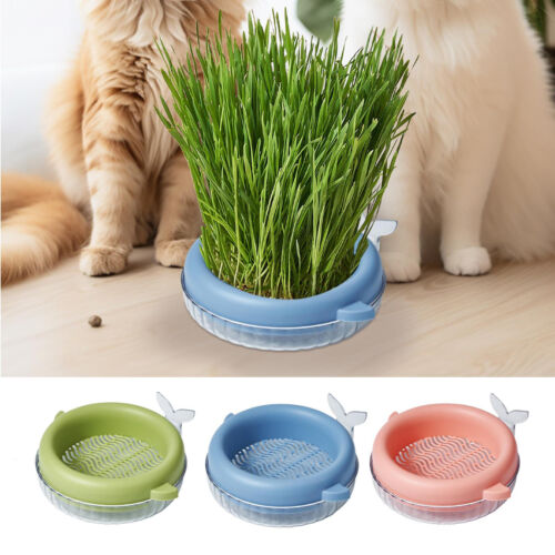 Hydroponic Cat Grass Soil-Free Planter Cat Grass Planting Box Plant Growing