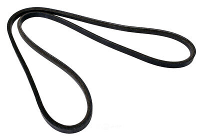 MOTORCRAFT JB366L Replacement Belt