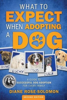 What to Expect When Adopting a Dog: A Guide to Successful Dog Adoption for Every