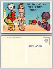 Postal de humor harén de sultanes de dibujos animados
