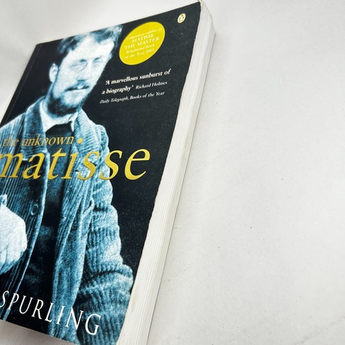 The Unknown Matisse by Hilary Spurling Artist Biography - Picture 5 of 24