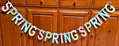 Spring Spring Spring Word Banner  Glittered Letters Gros Grain Ribbon 71  Long