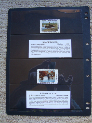 DUCK STAMP COLLECTION STATE & FORGEIN 50 TOTAL STAMPS SEE PHOTOS - Picture 12 of 24