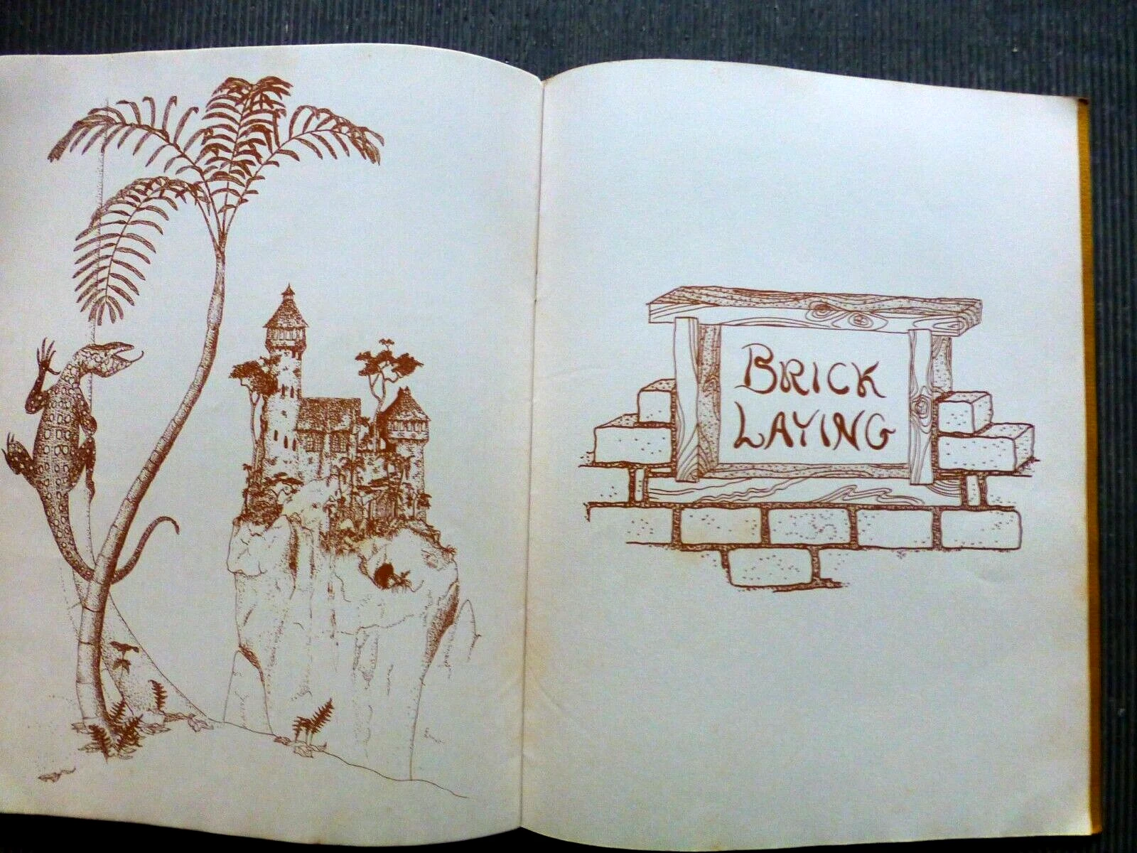 Picture 7 of 8