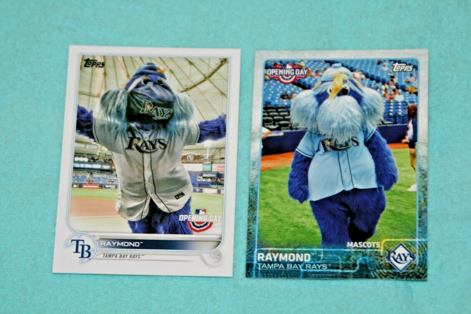 RAYMOND LOT OF 2 2022 & 2015 OPENING DAY MASCOT #M21 & M23 TAMPA BAY RAYS