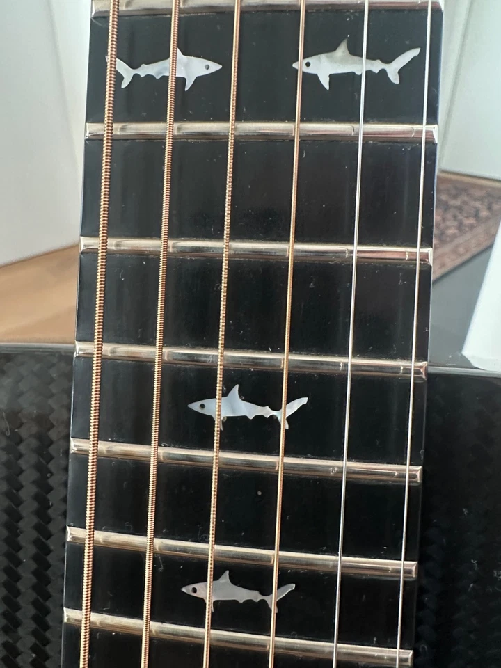 RainSong DR-1100  Rare American-made Carbon Fiber Dreadnaught acoustic guitar - Image 3 of 4