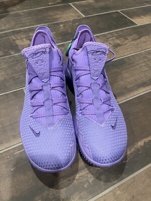 lebron 16 low ebay