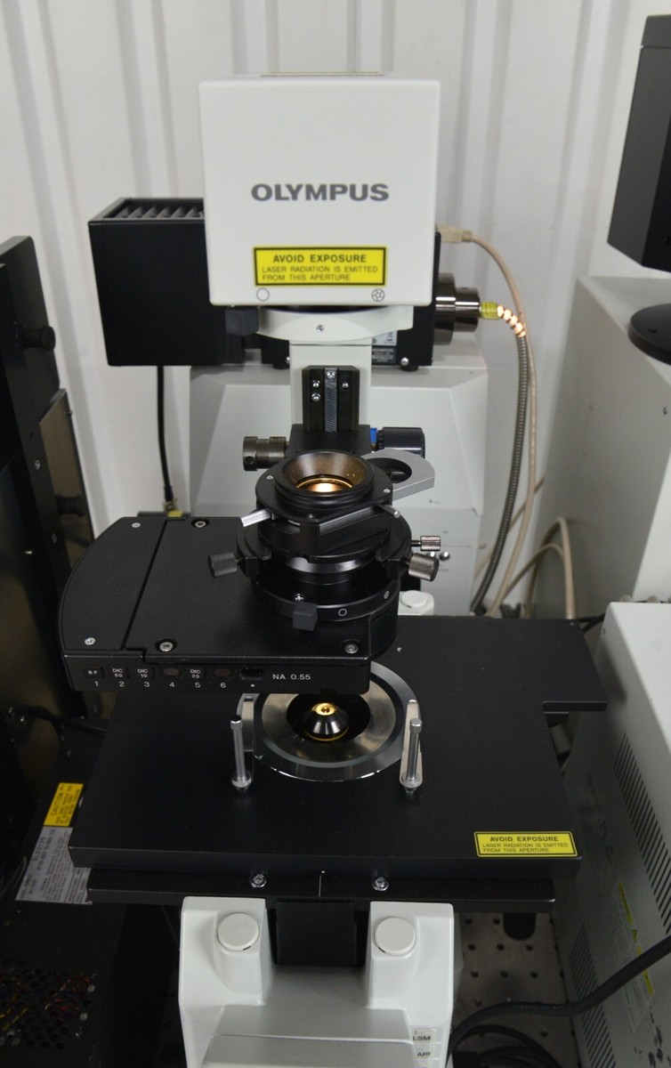 Olympus IX81 Microscope Fluoview FV1000 Confocal Scanning