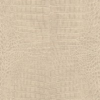 Rasch Vliestapete African Queen 3 Krokodilleder 751345