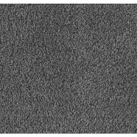 Grey Turtle Door Mat With Latex Backing 75 X 50cm Grey Turtle Door Mat With Latex Backing 75 X 50cm