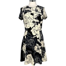 Eliza J Floral A-Line Dress Short Sleeve Black White Size 6 Chic Elegant Modest