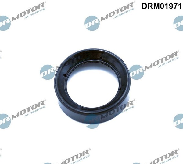 Dr.Motor Automotive Dichtung, Zylinderkopfhaube DRM01971 FüR Ford Ford USA-image