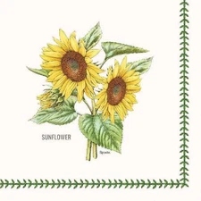 C.R. Gibson Paper Lunch Napkins, Spode Garden Florals