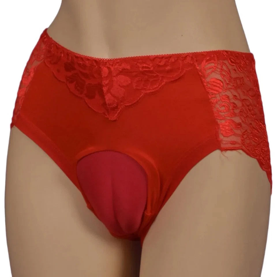 Men Transparent Lace Shaping Panties False Vaginal Briefs for Crossdresser - image 3 of 4