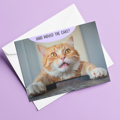 Lustige Katze Geburtstagskarte Katzenliebhaber Humorvoll Tortenliebhaber Grußkarte Blanko Geschenk