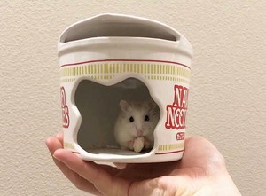 hamster hideout