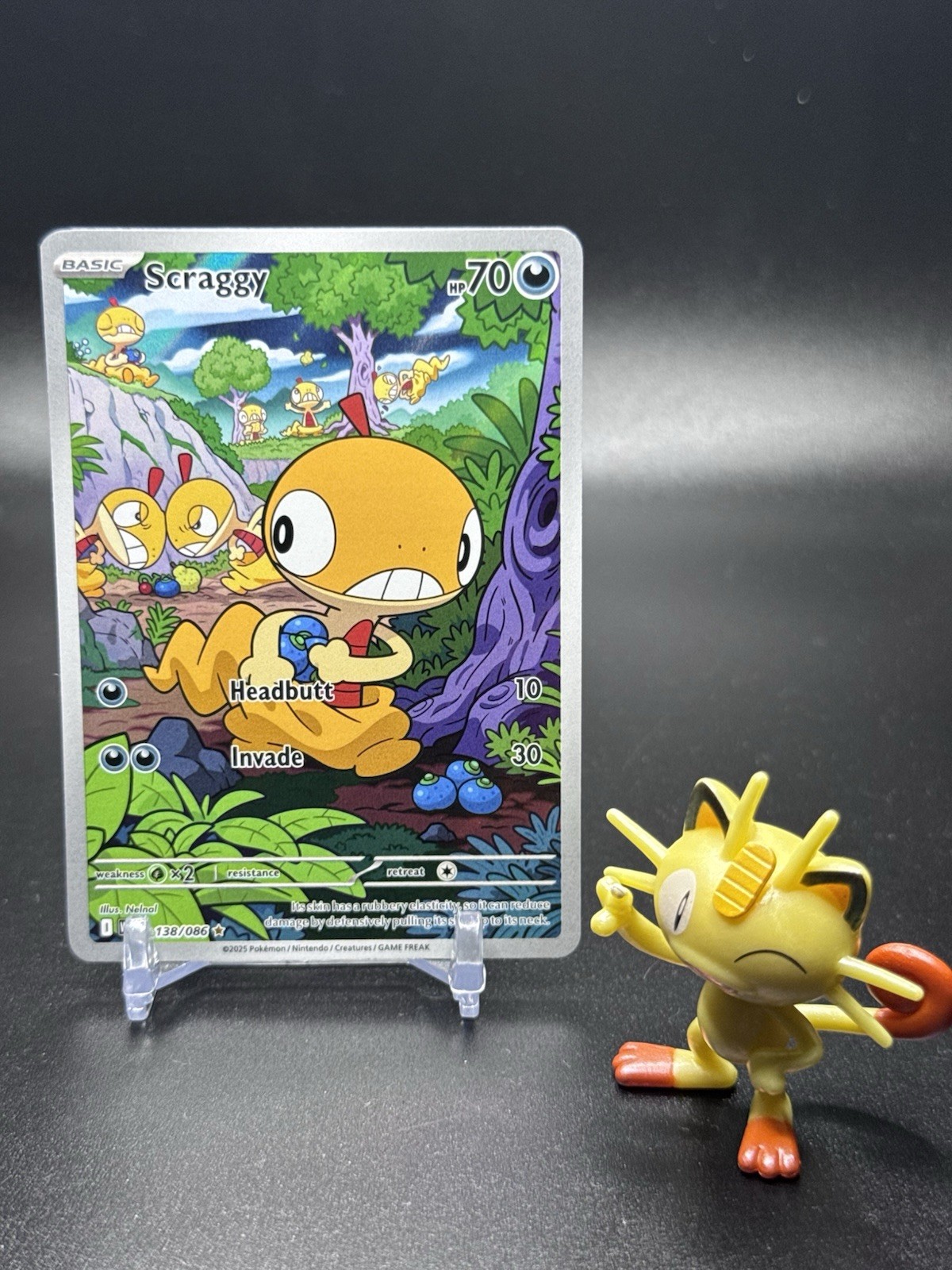 Scraggy 138/086 Pokemon Sv: White Flare Holo - NM