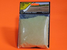 WOODLAND SCENICS FS616 2MM STATIC GRASS STRAW COLOR 70g 2.46oz PACK NEW      