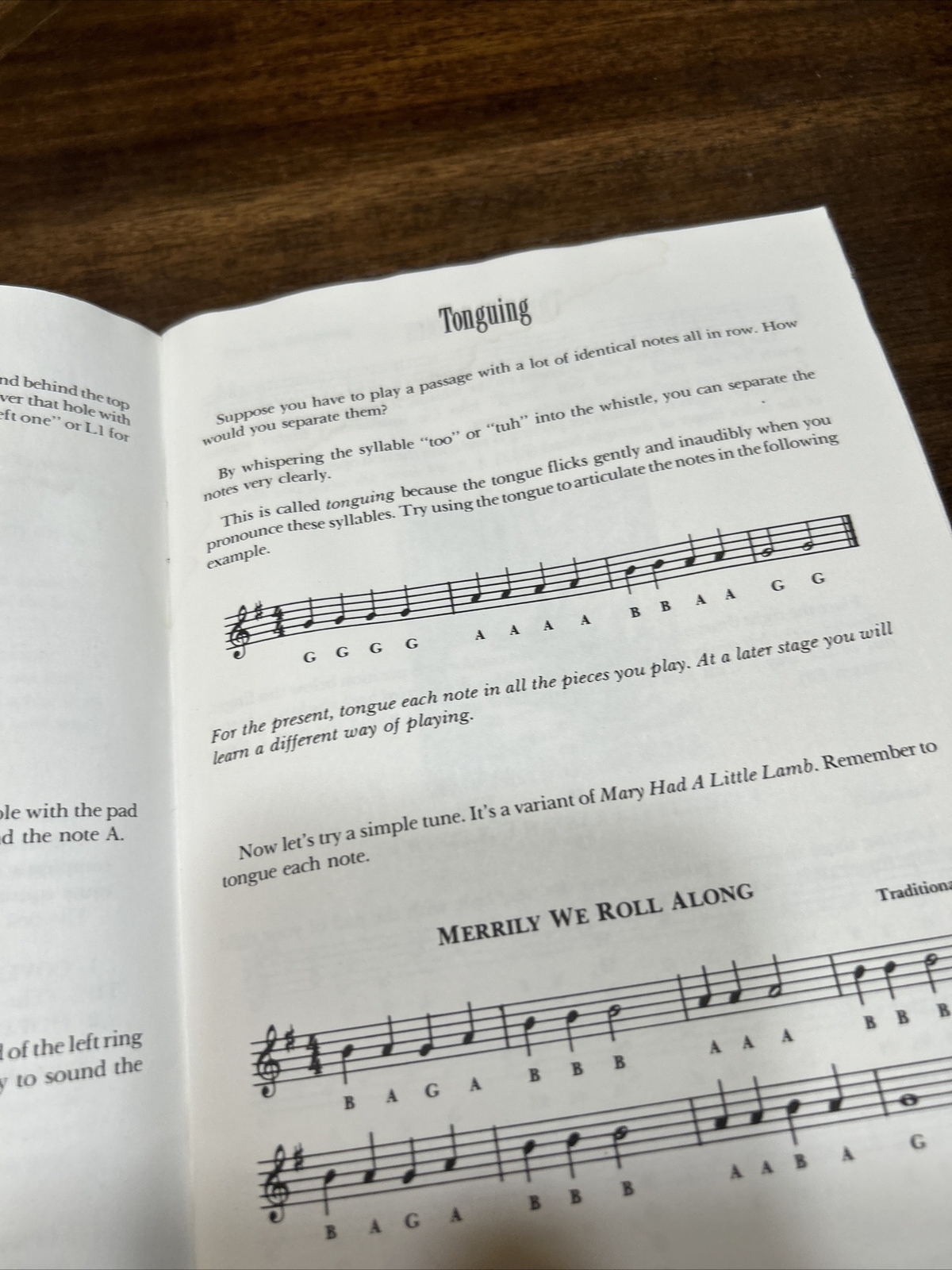 The Clarke Tin Whistle Book (Penny & Tin Whistle) by Ochs, Bill eBay