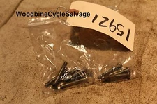 Honda 110 ATC110  ATC 110 Used Original MISC CRANK Case Bolts 1979