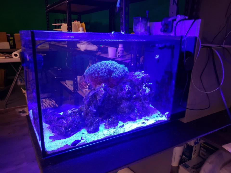 ACUARIO DE AGUA SALADA FLUVAL EVO 13,5 GALONES Foto 2 de 4