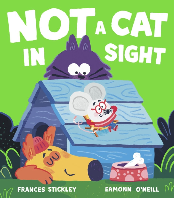 Not a Cat In Sight by Frances Stickley (Paperback Book)