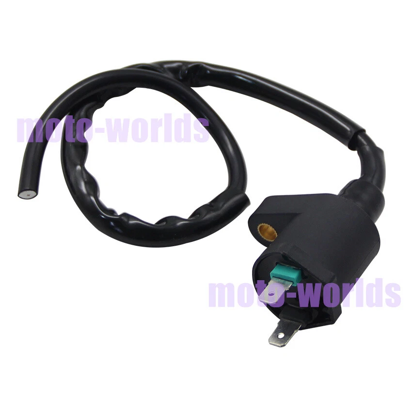 Bobina de encendido para Polaris Phoenix 200 2005-2020/Predator 50 2007 0452309 0453894 Foto 2 de 4