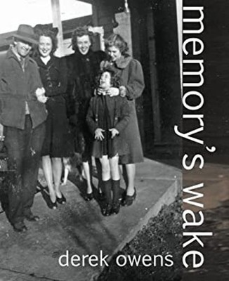 Memory's Wake Hardcover Derek Owens