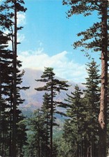 20 COL DE SORBA