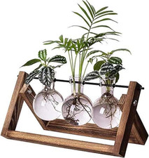 Plant Terrarium Propagation Station - 3 Glass Bulb Vases with Retro Wooden Stand