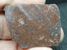 SLICE - GORGEOUS - LARGE SLICE - SLAB - FOR JEWELRY - M-4923 - 12.94g LAPIDARY