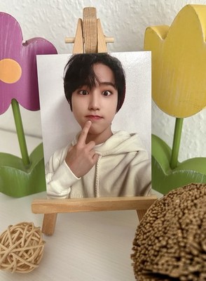 Stray Kids Han Jisung Noeasy Photocard PC Fotokarte SKZ Kpop