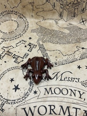 Harry Potter Schokoladenfrosch Magnet