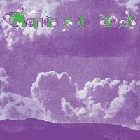 Third Ear Band Third Ear Band (Vinyl) 12\ Album"
