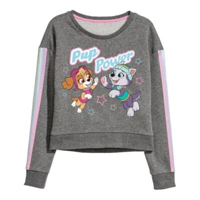 PAW Patrol Rundhals-Pullover ''Pup Power'' | Skye & Everest | Grau