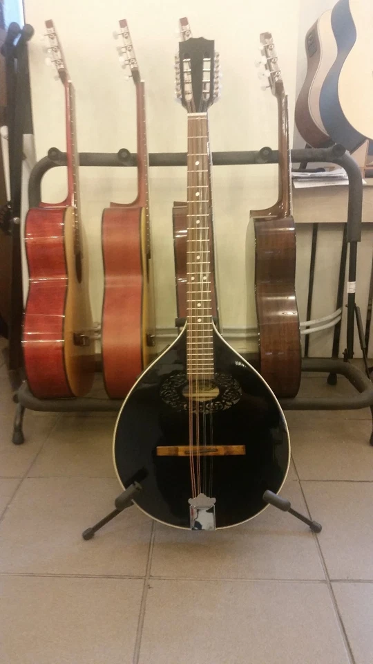 Octave mandolin+EQ electro, short scale Irish Bouzouki, Hora Romania, solid wood - Image 2 of 4