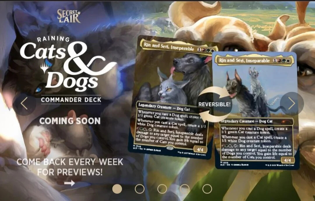 MTG Secret Lair Raining Cats and Dogs Limited Edition MTG Secret Lair Raining Cats and Dogs Limited Edition