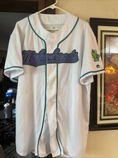 Scranton Wilkes Barre Melonheads Jersey Railriders Yankees Backyard Baseball