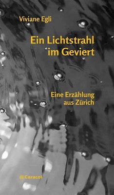 Ein Lichtstrahl im Geviert ZUSTAND SEHR GUT