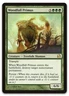 Woodfall Primus #174 (NM) Modern Masters MMA Magic MTG