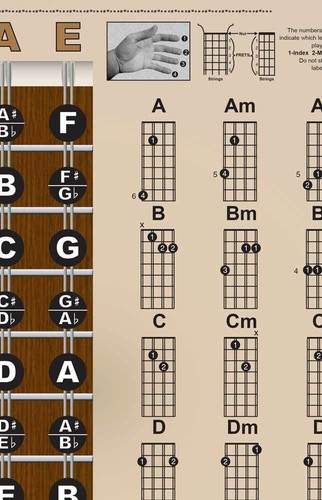 Laminated Mandolin Easy Chords Fretboard Wall Chart Poster Beginner Americana - Picture 3 of 6