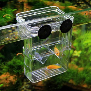 floating fry tank
