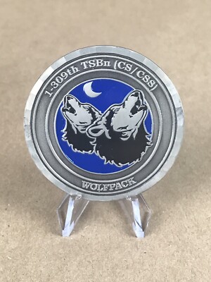 1-309th TSBn(CS/CSS) Wolfpack Challenge Coin FT Dix  Outstanding Performance 