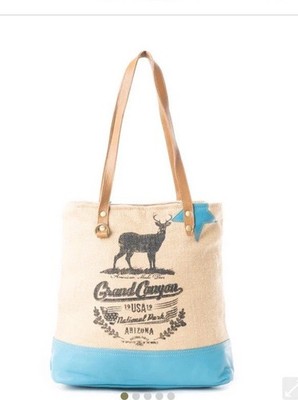 Myra Bag Over The Shoulder New Grand Canyon Arizona USA Beige And Blue